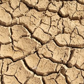 The UNU point of view on the Globedrought project